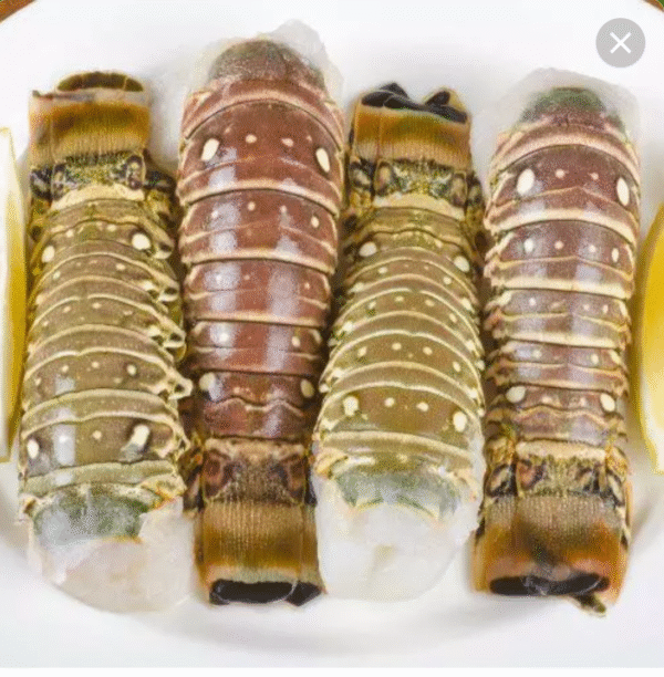 Langosta