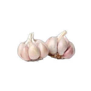 Ristra de Ajo