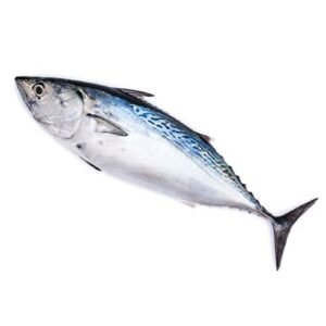 Pescado Bonito 3 a 5lb