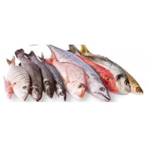 Pescado de Mar 8 a 10 lb
