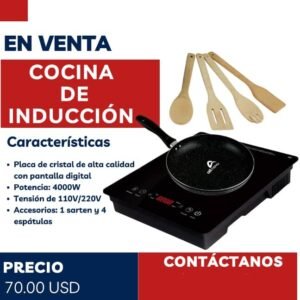 Fogón de inducción all novu